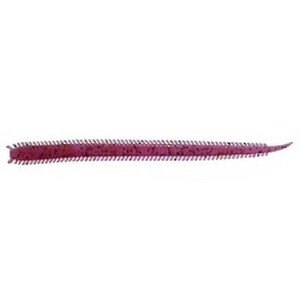 Lucky John Sand Worm 4,0' 15 Pcs F43